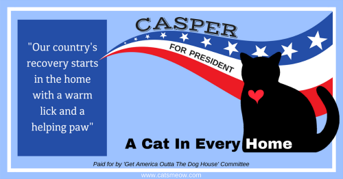 "Our country's recovery starts in the home with a warm lick and a helping paw."