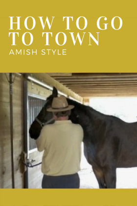 Watch a video on how the Amish get ready to go to town.