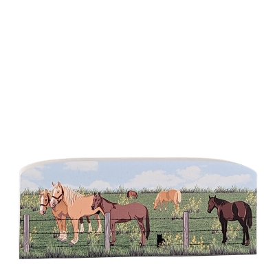 Amish Horses on the Farm