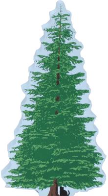 Silver Fir Tree, landscaping for The Cat's Meow Village