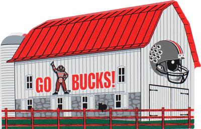 Buckeye Football, Scarlet & Gray, Ohio State, Ohio, OH-IO, Go Bucks, Brutus, Ohio State Alumni, TBDBITL
