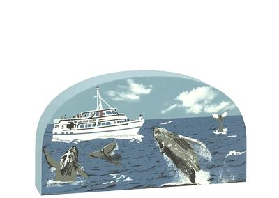 Humpback Whales off the United States coastline