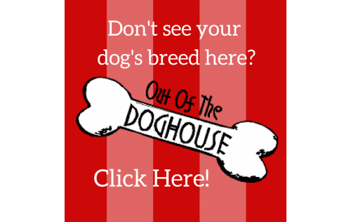 Email us a request for your dog's breed.