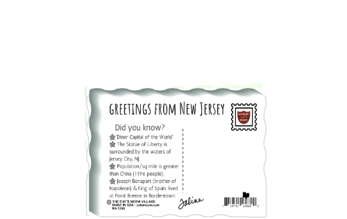 This is the back of our 3/4" thick postcard style New Jersey flag. It includes a greetings and facts about New Jersey. Crafted by The Cat's Meow Village in the USA!
