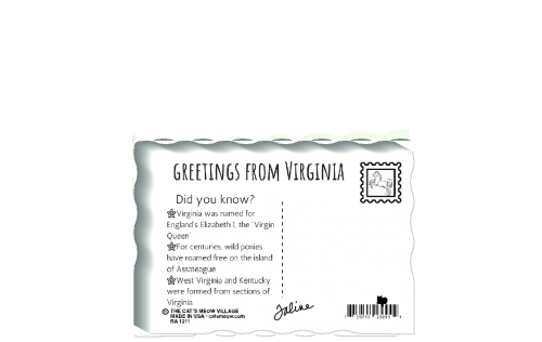 This is the back of our 3/4" thick postcard style Virginia flag. It includes a greetings and facts about Virginia. Crafted by The Cat's Meow Village in the USA!