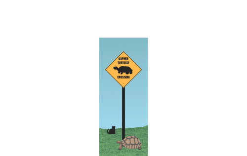 Gopher Tortoise Crossing Sign, Florida. Handcrafted of 3/4" thick wood by The Cat's Meow Village in the USA.