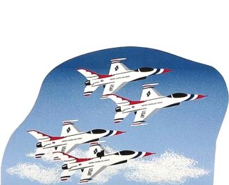 United States Air Force Thunderbirds Squadron