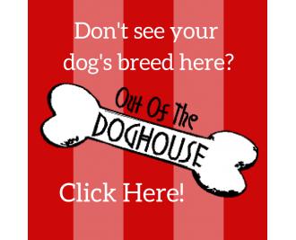 Email us a request for your dog's breed.