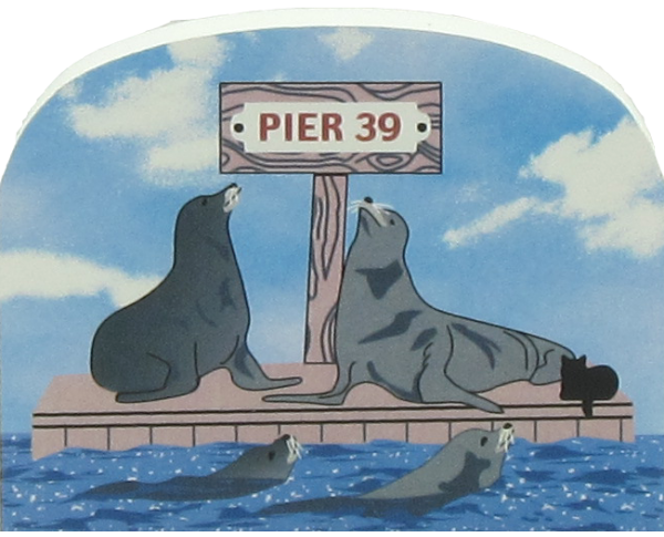 Pier 39 San Francisco Sea Lions, California