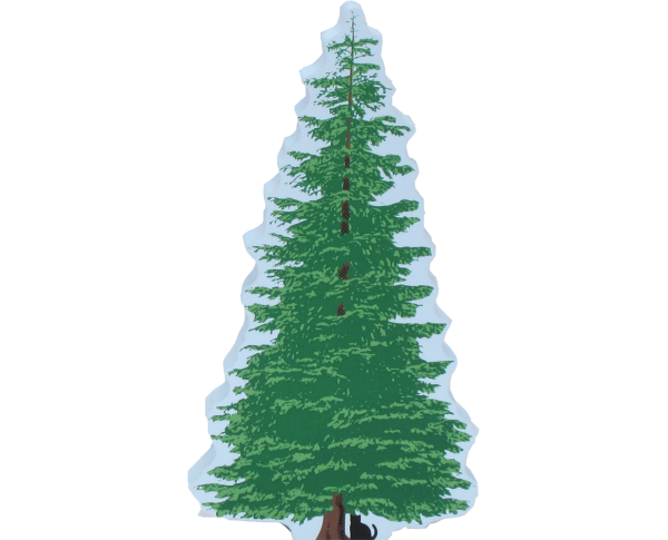 Silver Fir Tree, landscaping for The Cat's Meow Village