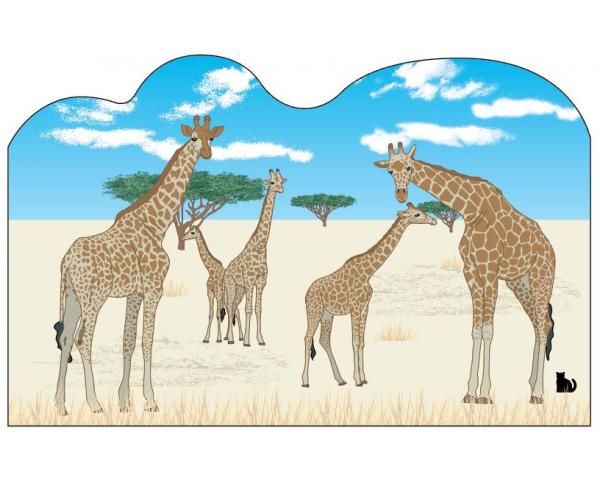 Giraffes, Front
