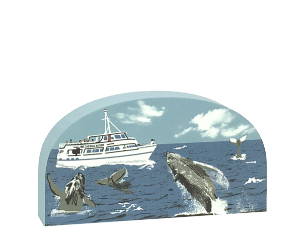 Humpback Whales off the United States coastline